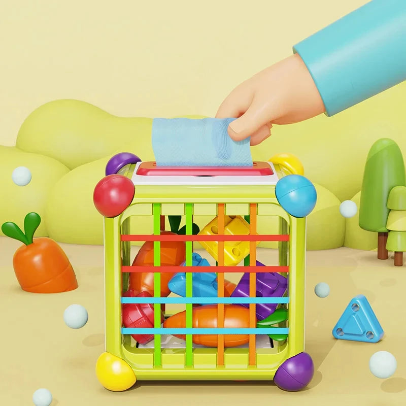 Cube d’activités pour bébé 6 en 1 Ziolos