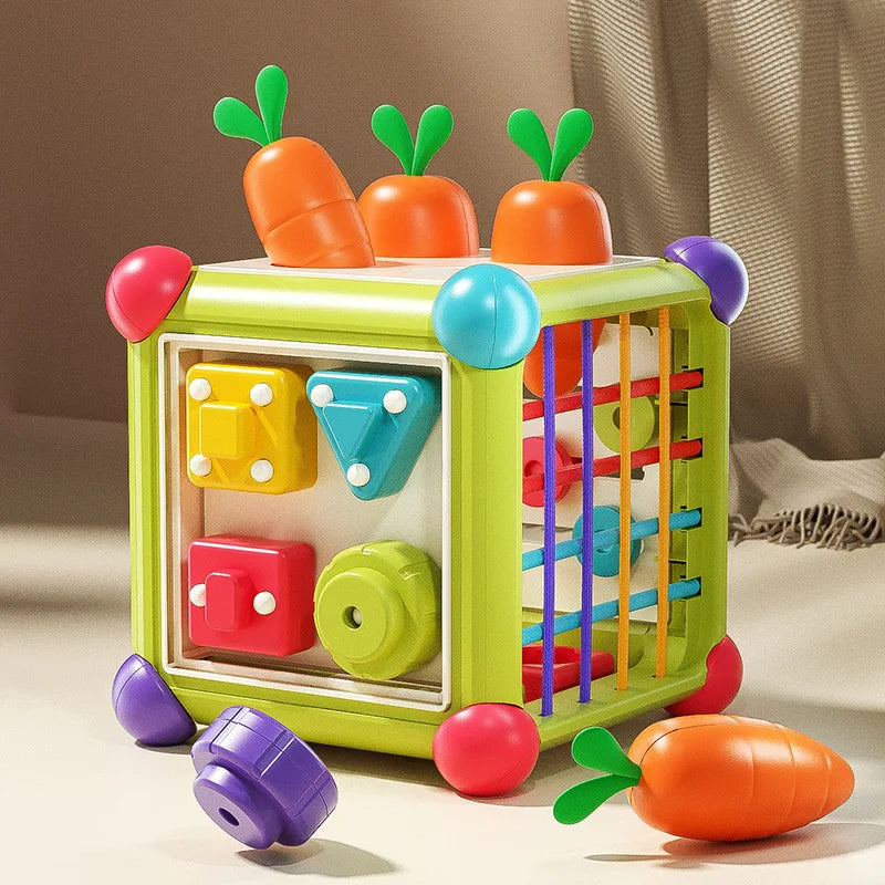 Cube d’activités pour bébé 6 en 1 Ziolos